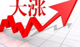 猪价最新爆料新闻网站,最新爆料揭示市场动态与养殖户困境